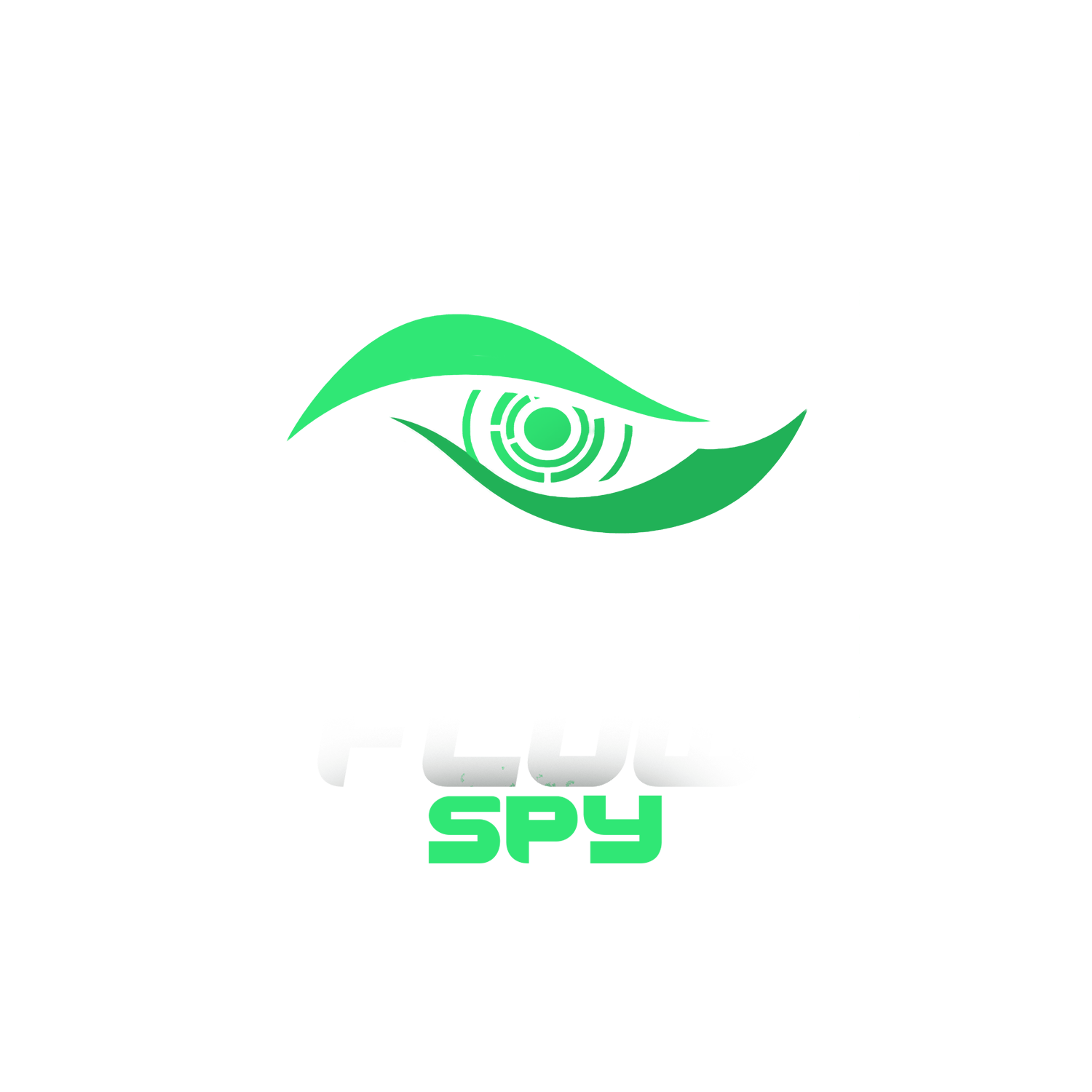 Logo FlowSpy